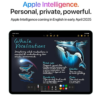 iPad Air